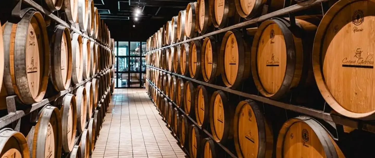 Wines of Romania - Wine Tourism -Crama Girboiu Winery